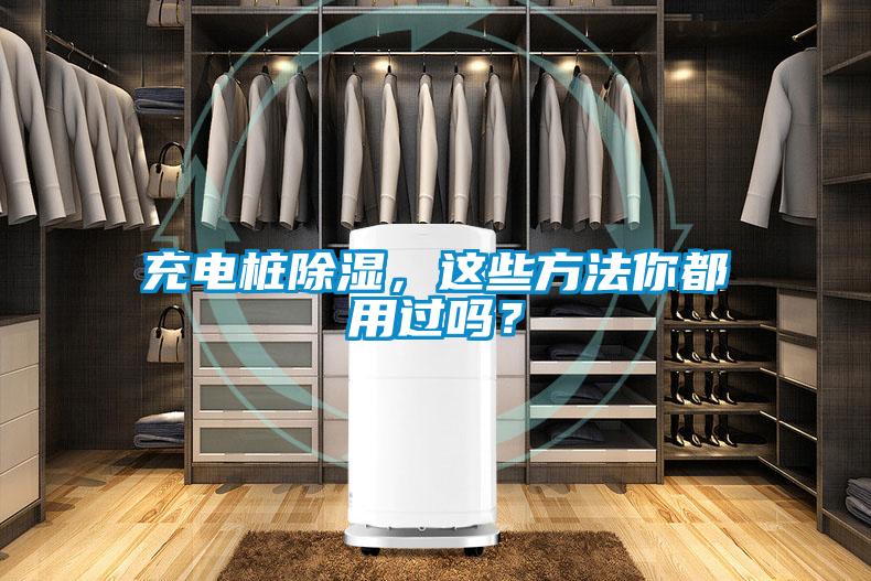 欧美黄色电影在线播放 充电桩除湿，这些方法你都用过吗？