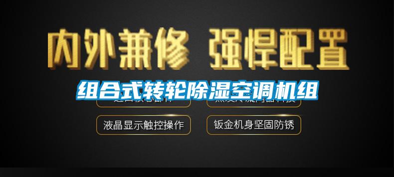 欧美成色手机在线观看 组合式转轮除湿空调机组