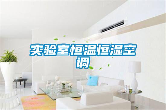 欧美黄色电影在线播放 实验室恒温恒湿空调
