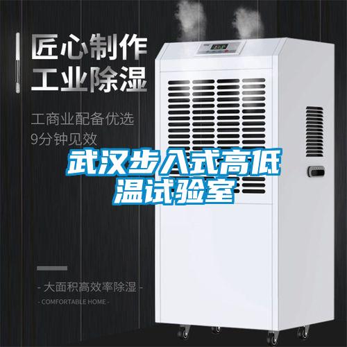 欧美成色手机在线观看 武汉步入式高低温试验室