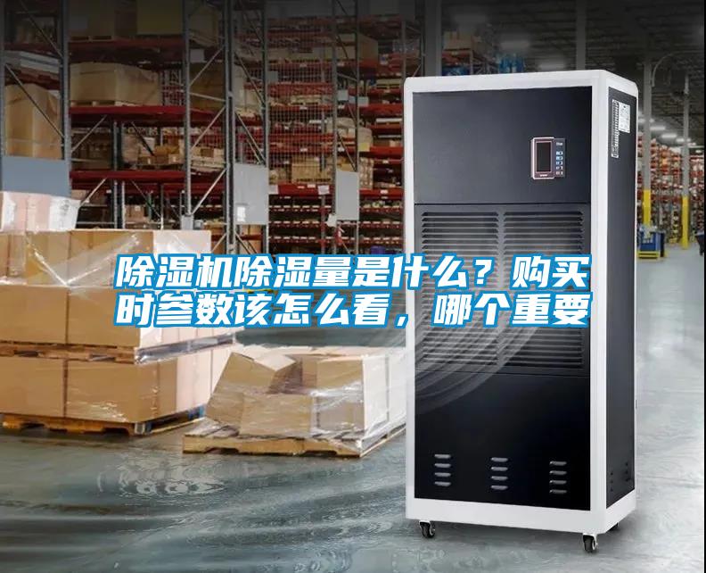 欧美黄色性爱视频网站 除湿机除湿量是什么？购买时参数该怎么看，哪个重要