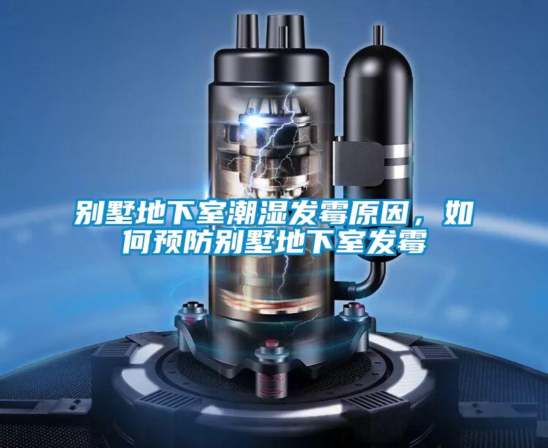 欧美成色手机在线观看 别墅地下室潮湿发霉原因，如何预防别墅地下室发霉