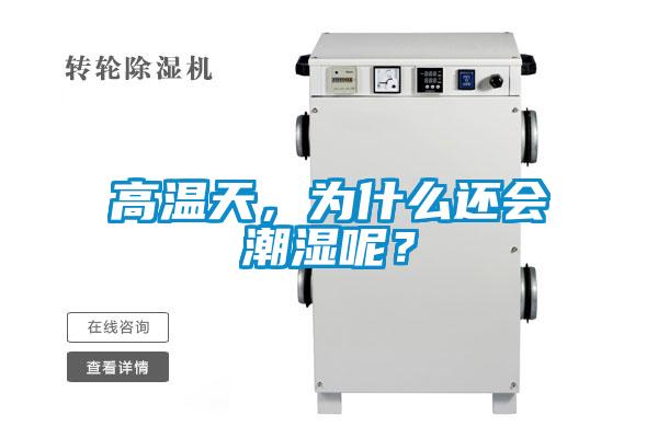 欧美黄色电影在线播放 高温天，为什么还会潮湿呢？