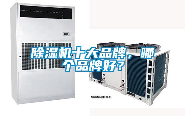 欧美黄色电影在线播放 除湿机十大品牌，哪个品牌好？