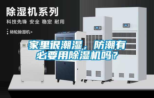 欧美黄色性爱视频网站 家里很潮湿，防潮有必要用除湿机吗？