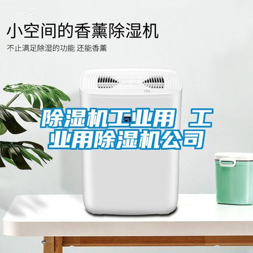 欧美成色手机在线观看 除湿机工业用 工业用除湿机公司