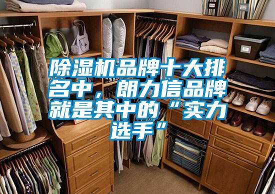 欧美黄色电影在线播放 除湿机品牌十大排名中，朗力信品牌就是其中的“实力选手”