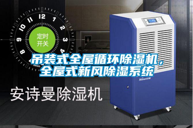 欧美黄色电影在线播放 吊装式全屋循环除湿机，全屋式新风除湿系统