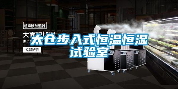 欧美黄色电影在线播放 太仓步入式恒温恒湿试验室