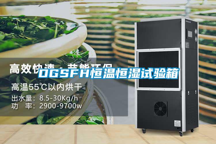 欧美黄色电影在线播放 DGSFH恒温恒湿试验箱