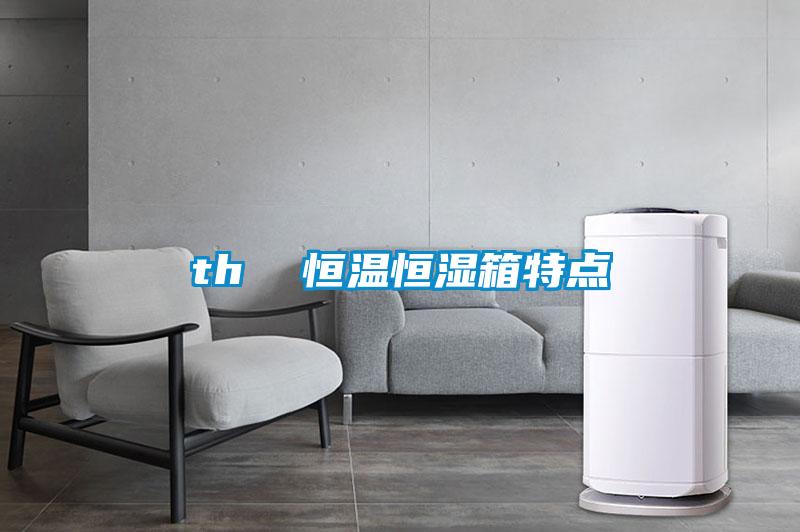 欧美黄色电影在线播放 th  恒温恒湿箱特点