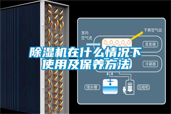欧美黄色性爱视频网站 除湿机在什么情况下使用及保养方法