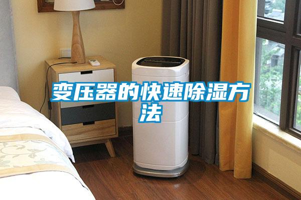 欧美黄色电影在线播放 变压器的快速除湿方法