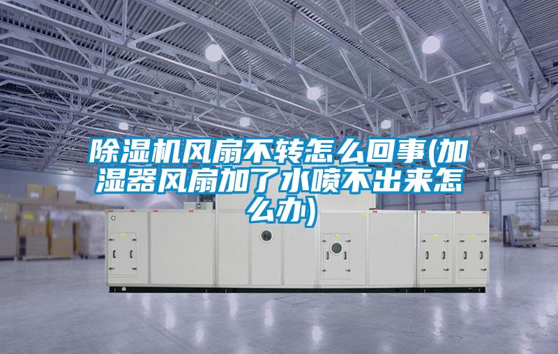 欧美黄色电影在线播放 除湿机风扇不转怎么回事(加湿器风扇加了水喷不出来怎么办)