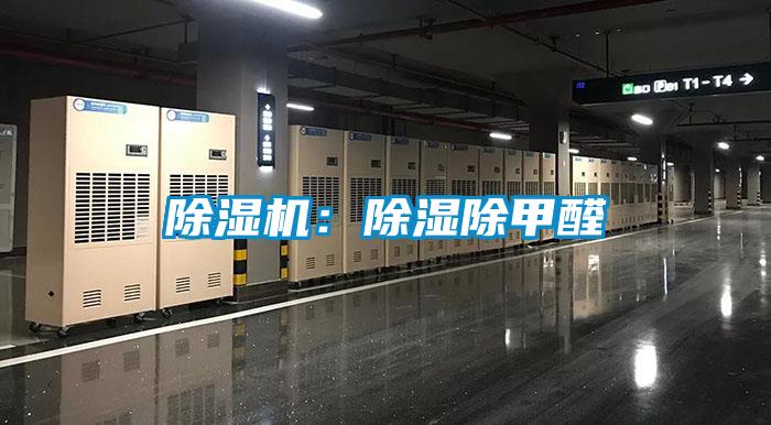 欧美黄色性爱视频网站 除湿机：除湿除甲醛