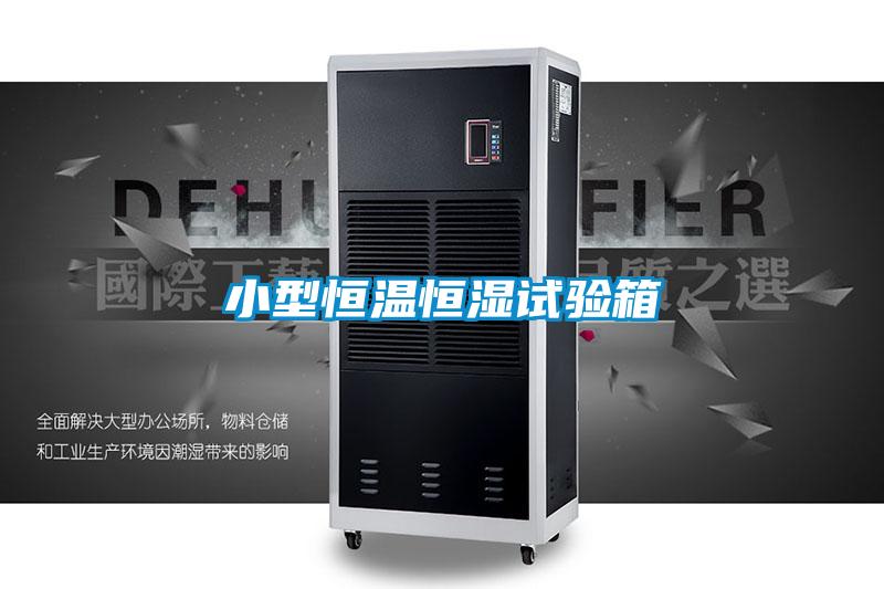 欧美黄色性爱视频网站 小型恒温恒湿试验箱