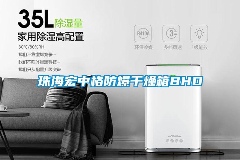 欧美黄色性爱视频网站 珠海宏中格防爆干燥箱BHD