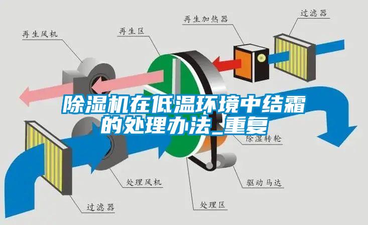 欧美黄色电影在线播放 除湿机在低温环境中结霜的处理办法_重复