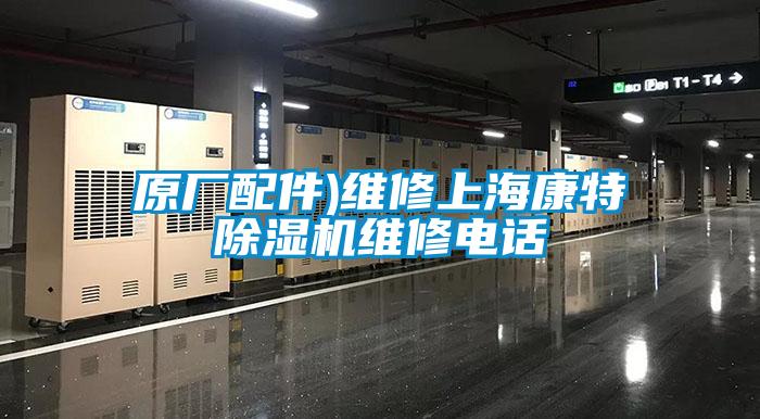 欧美黄色电影在线播放 原厂配件)维修上海康特除湿机维修电话