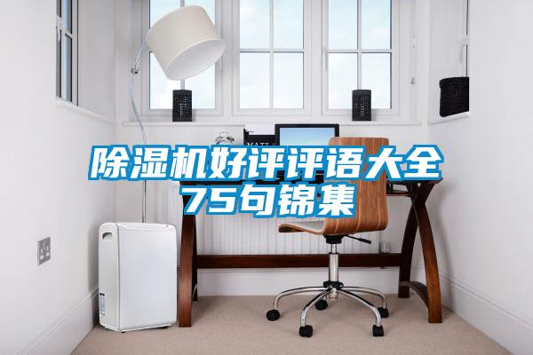 欧美黄色性爱视频网站 除湿机好评评语大全75句锦集