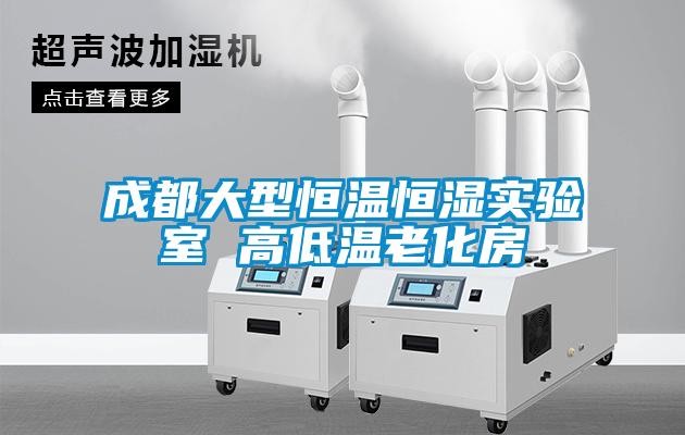 欧美黄色性爱视频网站 成都大型恒温恒湿实验室 高低温老化房