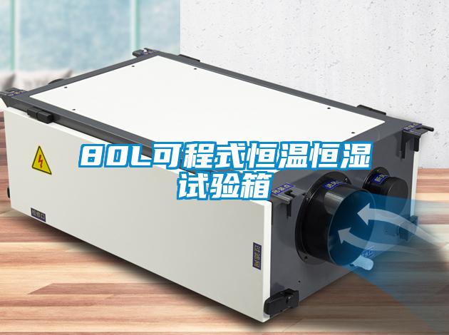 欧美黄色电影在线播放 80L可程式恒温恒湿试验箱