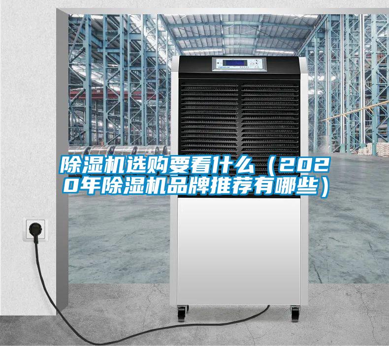 欧美成色手机在线观看 除湿机选购要看什么（2020年除湿机品牌推荐有哪些）