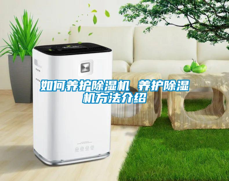 欧美黄色性爱视频网站 如何养护除湿机 养护除湿机方法介绍