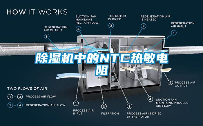 欧美黄色性爱视频网站 除湿机中的NTC热敏电阻