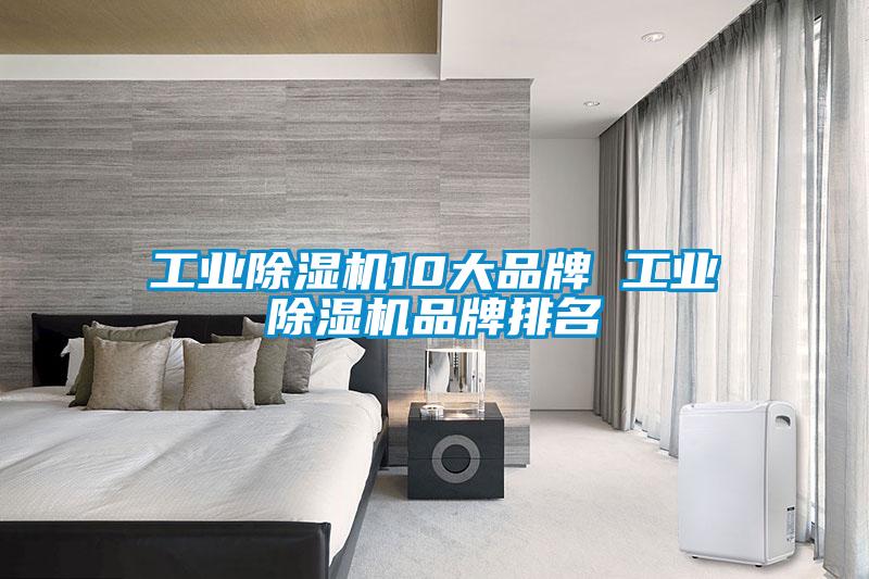 欧美黄色电影在线播放 工业除湿机10大品牌 工业除湿机品牌排名