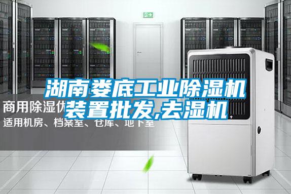 欧美成色手机在线观看 湖南娄底工业除湿机装置批发,去湿机