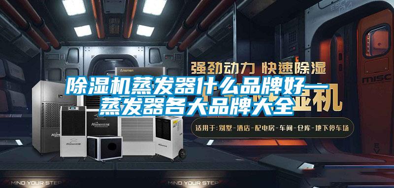 欧美成色手机在线观看 除湿机蒸发器什么品牌好—蒸发器各大品牌大全