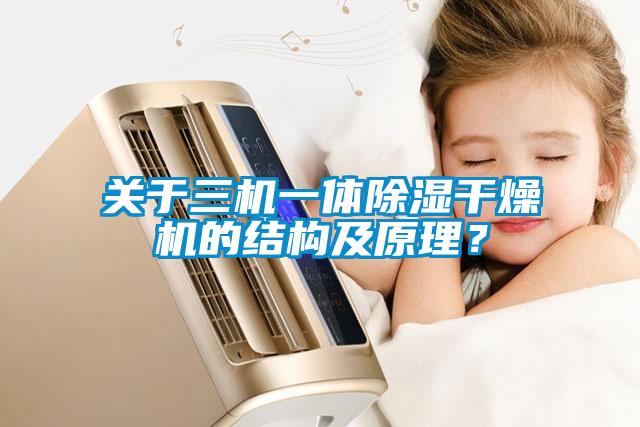 欧美成色手机在线观看 关于三机一体除湿干燥机的结构及原理？