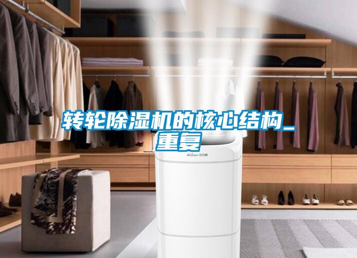 欧美黄色电影在线播放 转轮除湿机的核心结构_重复