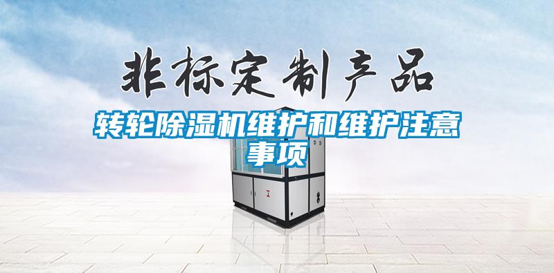 欧美黄色性爱视频网站 转轮除湿机维护和维护注意事项