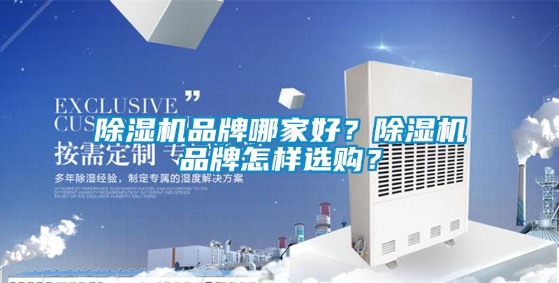 欧美黄色性爱视频网站 除湿机品牌哪家好？除湿机品牌怎样选购？