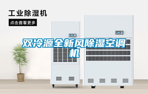 欧美成色手机在线观看 双冷源全新风除湿空调机