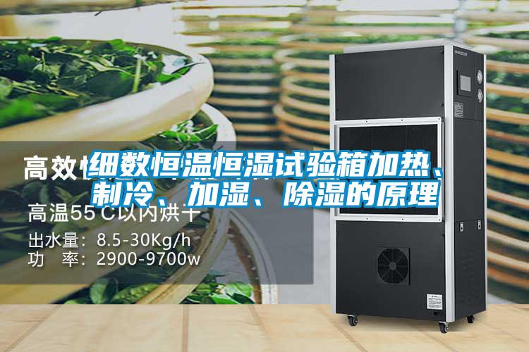 欧美黄色电影在线播放 细数恒温恒湿试验箱加热、制冷、加湿、除湿的原理