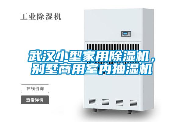 欧美成色手机在线观看 武汉小型家用除湿机，别墅商用室内抽湿机