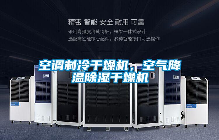 欧美黄色性爱视频网站 空调制冷干燥机，空气降温除湿干燥机