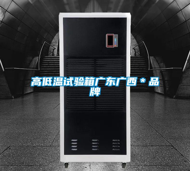 欧美黄色性爱视频网站 高低温试验箱广东广西＊品牌