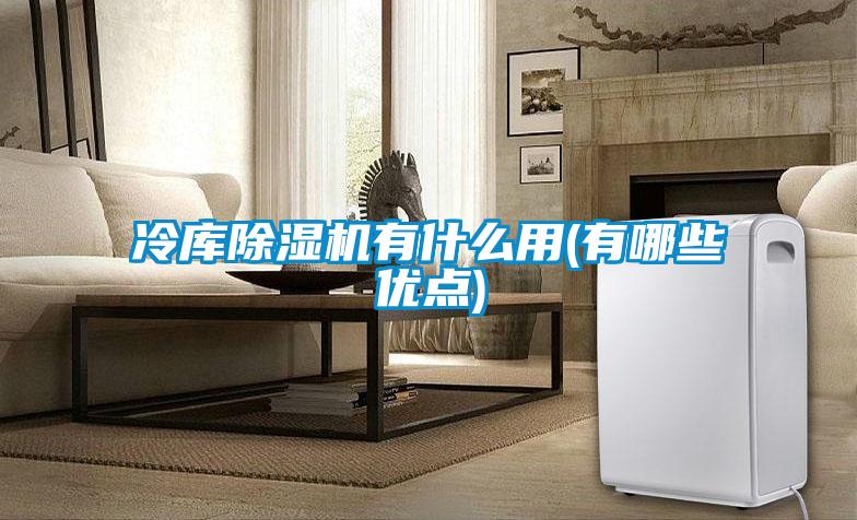欧美黄色性爱视频网站 冷库除湿机有什么用(有哪些优点)