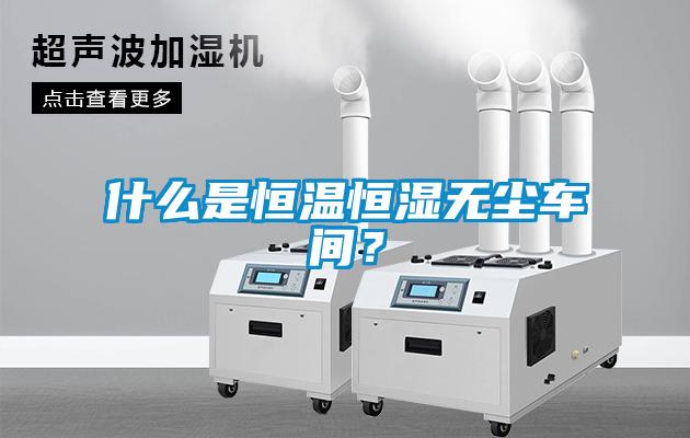 欧美黄色电影在线播放 什么是恒温恒湿无尘车间？