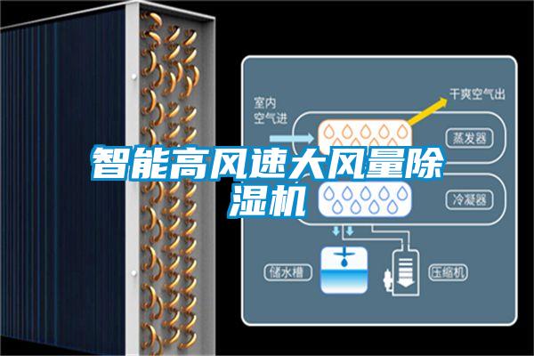 欧美黄色电影在线播放 智能高风速大风量除湿机