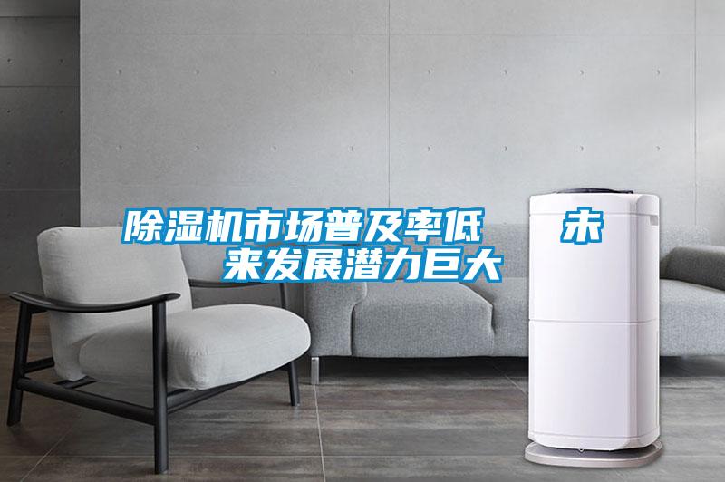 欧美黄色电影在线播放 除湿机市场普及率低   未来发展潜力巨大