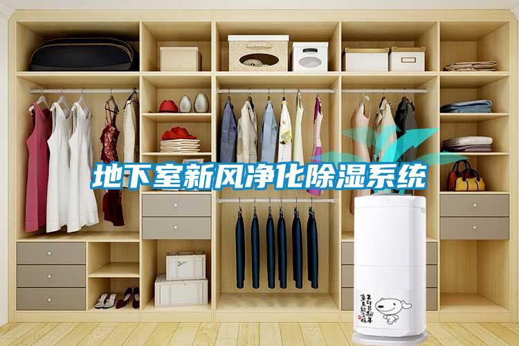 欧美黄色性爱视频网站 地下室新风净化除湿系统