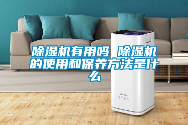 欧美成色手机在线观看 除湿机有用吗 除湿机的使用和保养方法是什么