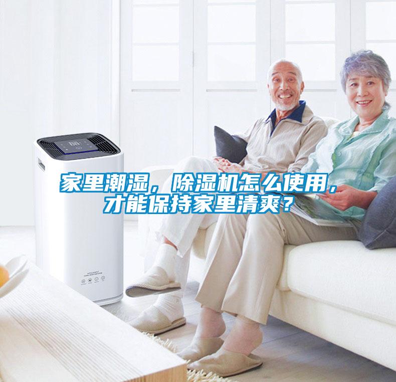 欧美黄色性爱视频网站 家里潮湿，除湿机怎么使用，才能保持家里清爽？
