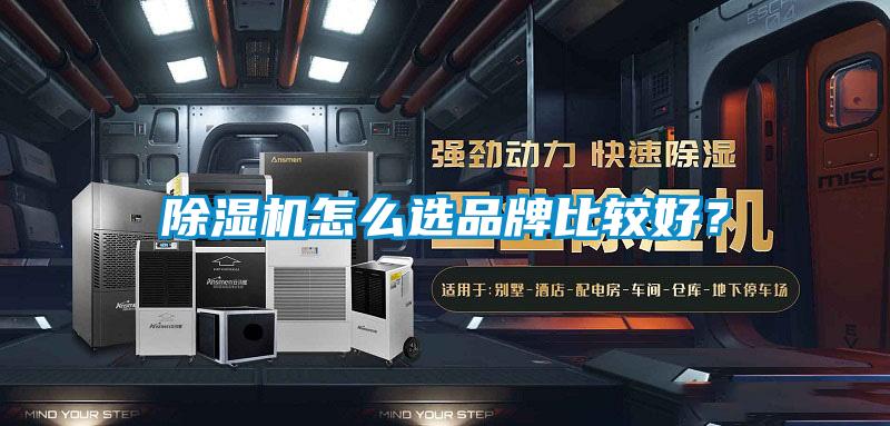 欧美黄色性爱视频网站 除湿机怎么选品牌比较好？