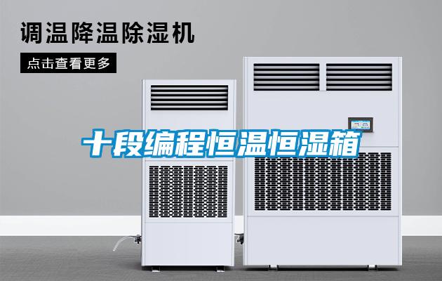 欧美黄色性爱视频网站 十段编程恒温恒湿箱